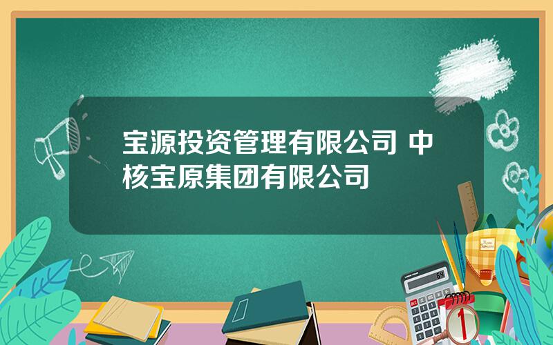 宝源投资管理有限公司 中核宝原集团有限公司